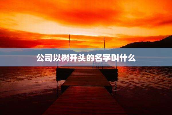 公司以树开头的名字叫什么