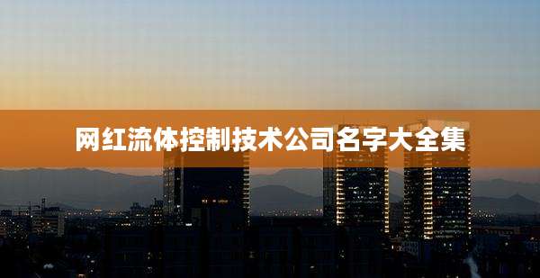 网红流体控制技术公司名字大全集