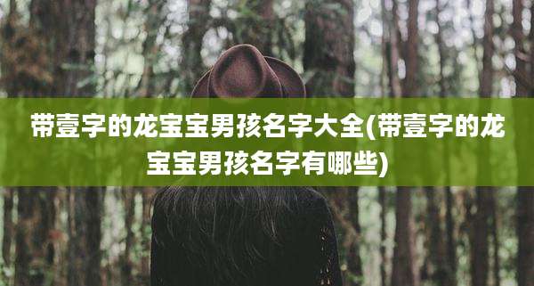 带壹字的龙宝宝男孩名字大全(带壹字的龙宝宝男孩名字有哪些)