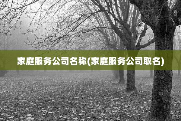 家庭服务公司名称(家庭服务公司取名)