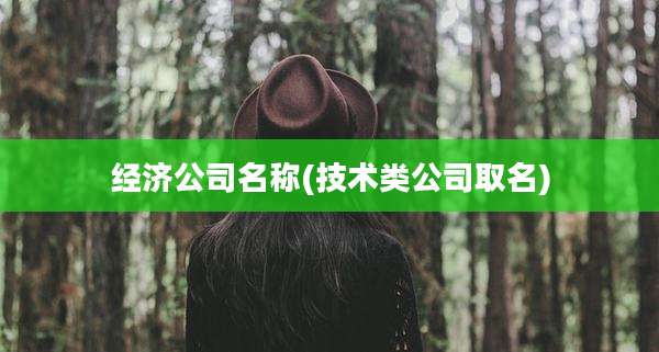 经济公司名称(技术类公司取名)