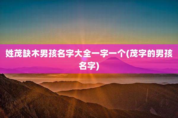 姓茂缺木男孩名字大全一字一个(茂字的男孩名字)