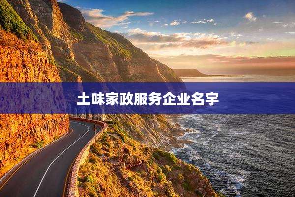 土味家政服务企业名字