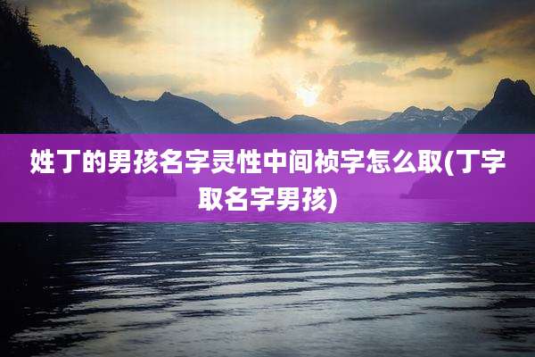 姓丁的男孩名字灵性中间祯字怎么取(丁字取名字男孩)
