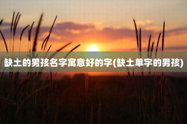 缺土的男孩名字寓意好的字(缺土单字的男孩)