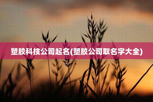 塑胶科技公司起名(塑胶公司取名字大全)