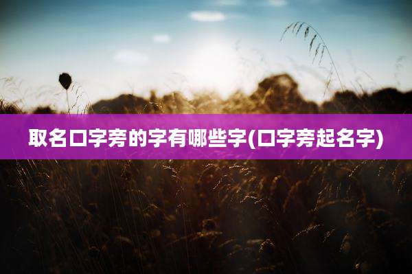 取名口字旁的字有哪些字(口字旁起名字)
