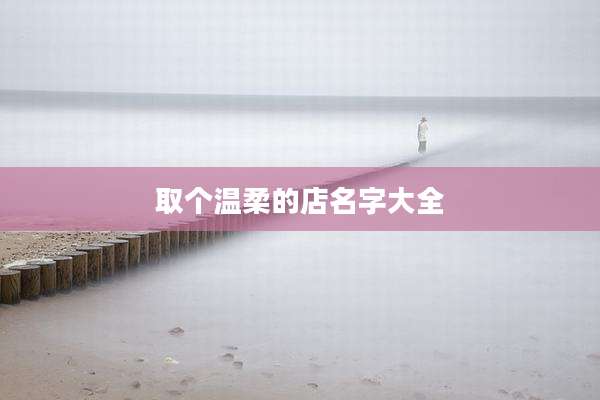 取个温柔的店名字大全