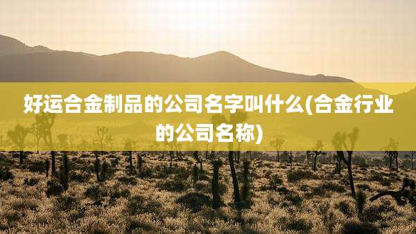 好运合金制品的公司名字叫什么(合金行业的公司名称)