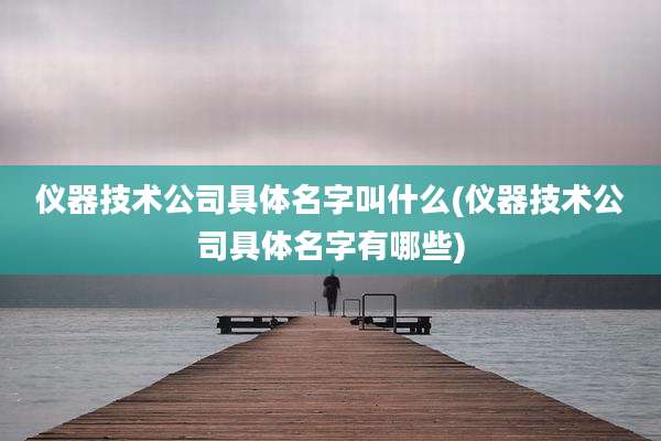仪器技术公司具体名字叫什么(仪器技术公司具体名字有哪些)