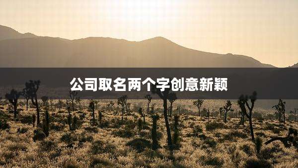 公司取名两个字创意新颖