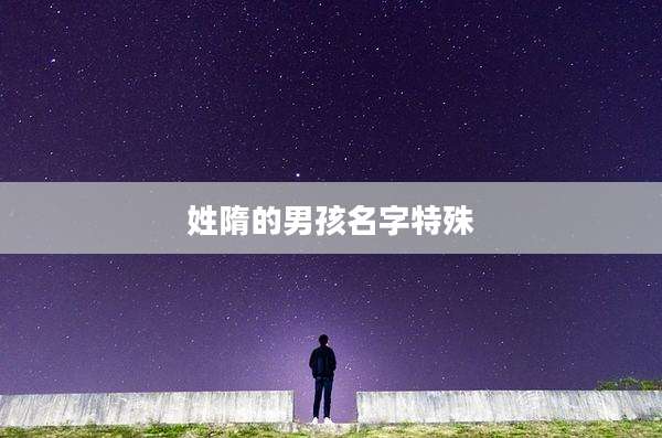 姓隋的男孩名字特殊