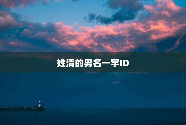 姓清的男名一字ID