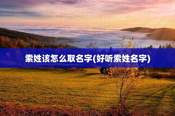 索姓该怎么取名字(好听索姓名字)
