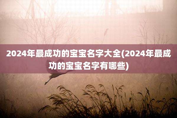 2024年最成功的宝宝名字大全(2024年最成功的宝宝名字有哪些)