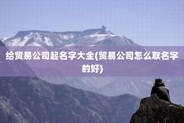 给贸易公司起名字大全(贸易公司怎么取名字的好)