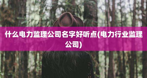 什么电力监理公司名字好听点(电力行业监理公司)