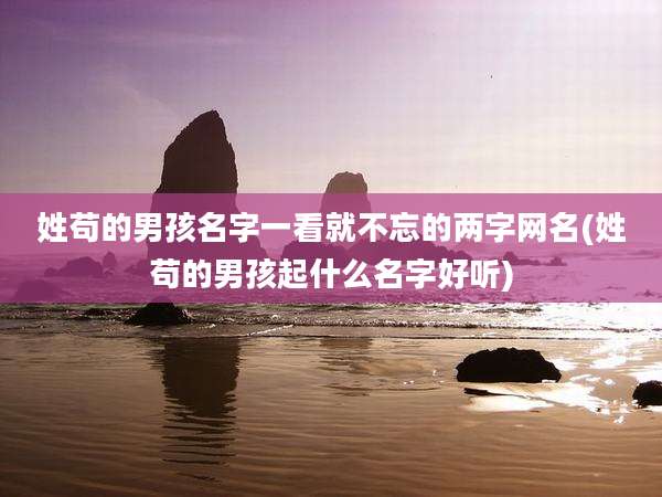 姓苟的男孩名字一看就不忘的两字网名(姓苟的男孩起什么名字好听)