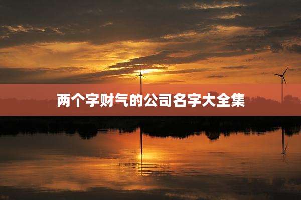 两个字财气的公司名字大全集