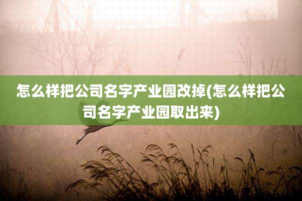 怎么样把公司名字产业园改掉(怎么样把公司名字产业园取出来)