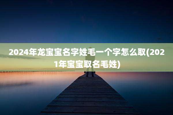 2024年龙宝宝名字姓毛一个字怎么取(2021年宝宝取名毛姓)