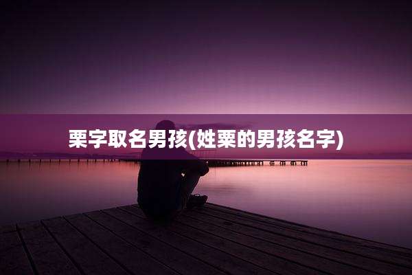 栗字取名男孩(姓粟的男孩名字)