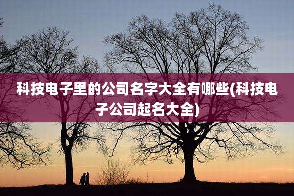 科技电子里的公司名字大全有哪些(科技电子公司起名大全)