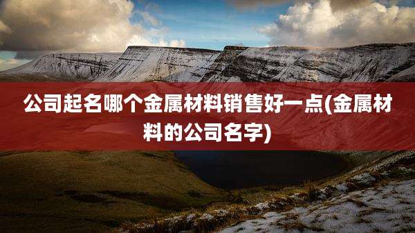 公司起名哪个金属材料销售好一点(金属材料的公司名字)