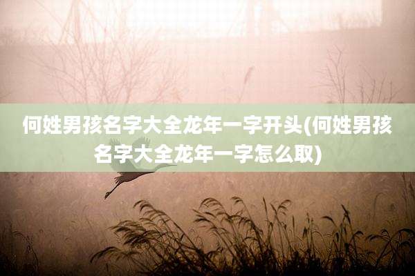 何姓男孩名字大全龙年一字开头(何姓男孩名字大全龙年一字怎么取)