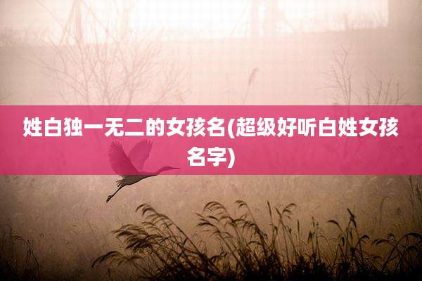 姓白独一无二的女孩名(超级好听白姓女孩名字)