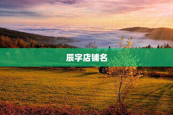 辰字店铺名