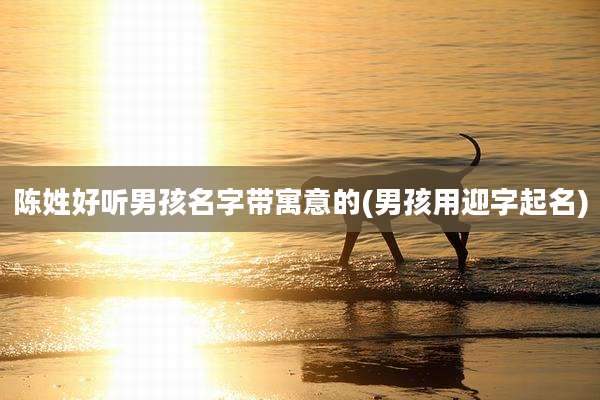 陈姓好听男孩名字带寓意的(男孩用迎字起名)