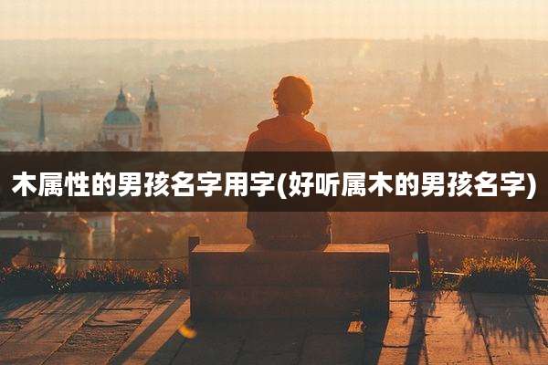 木属性的男孩名字用字(好听属木的男孩名字)