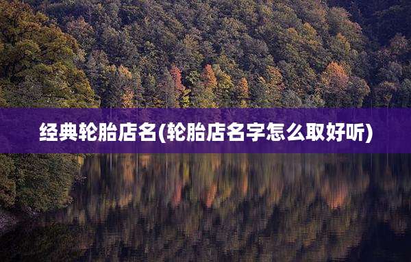经典轮胎店名(轮胎店名字怎么取好听)
