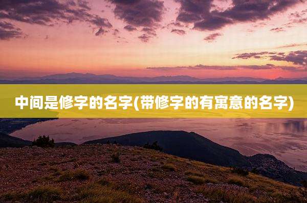 中间是修字的名字(带修字的有寓意的名字)