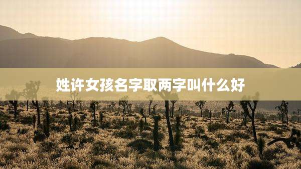 姓许女孩名字取两字叫什么好