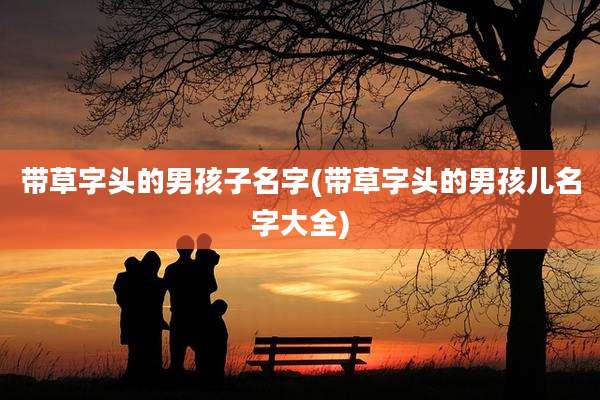 带草字头的男孩子名字(带草字头的男孩儿名字大全)