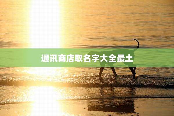 通讯商店取名字大全最土