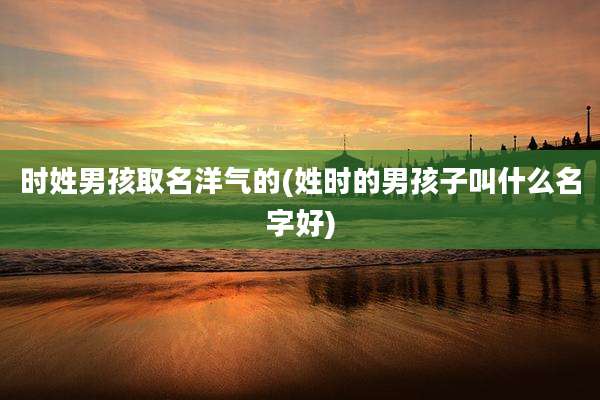 时姓男孩取名洋气的(姓时的男孩子叫什么名字好)