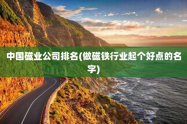 中国磁业公司排名(做磁铁行业起个好点的名字)