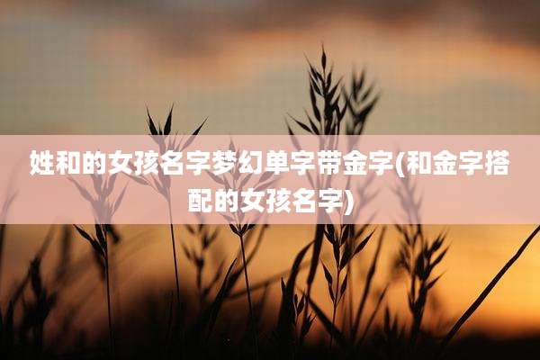 姓和的女孩名字梦幻单字带金字(和金字搭配的女孩名字)