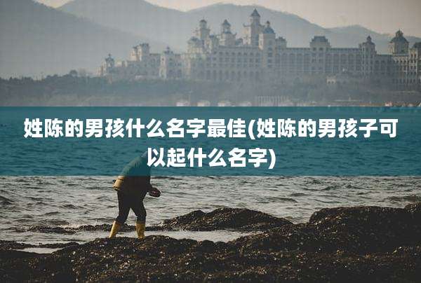 姓陈的男孩什么名字最佳(姓陈的男孩子可以起什么名字)