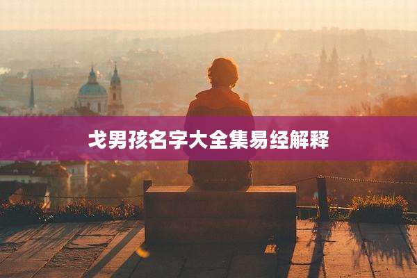 戈男孩名字大全集易经解释