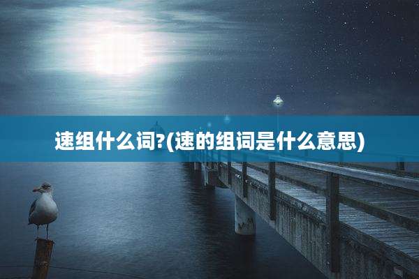 速组什么词?(速的组词是什么意思)