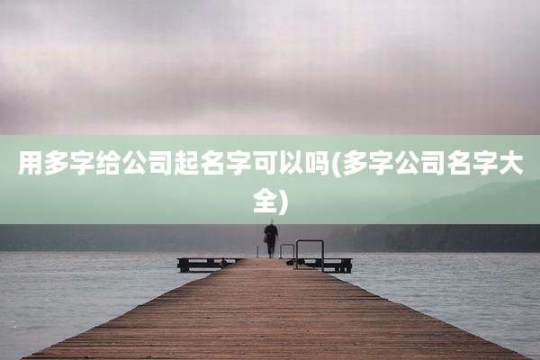 用多字给公司起名字可以吗(多字公司名字大全)