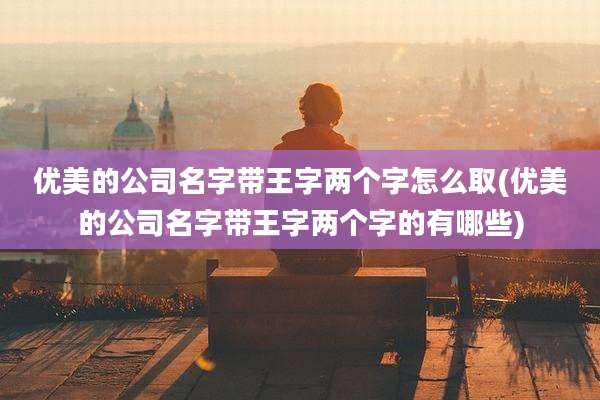 优美的公司名字带王字两个字怎么取(优美的公司名字带王字两个字的有哪些)