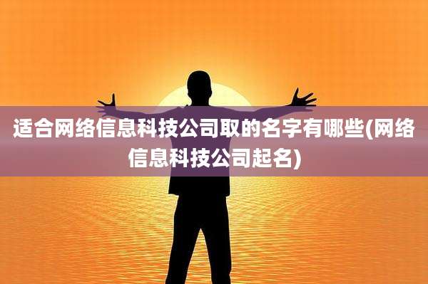 适合网络信息科技公司取的名字有哪些(网络信息科技公司起名)