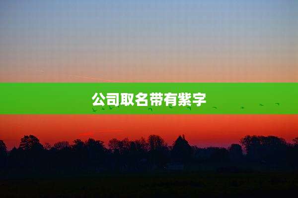 公司取名带有紫字