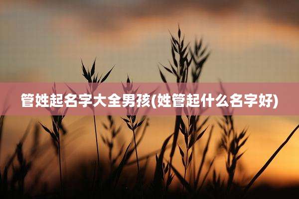 管姓起名字大全男孩(姓管起什么名字好)