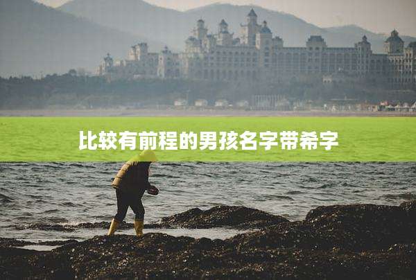 比较有前程的男孩名字带希字